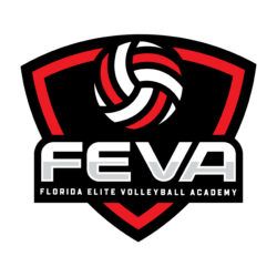 Web Preview_FEVA_Main